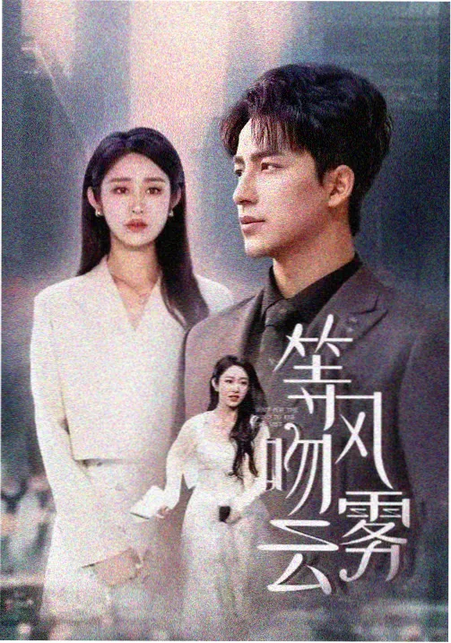 双城档案 年代剧在线看